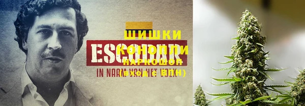 MESCALINE Богданович