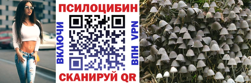 Галлюциногенные грибы Psilocybine cubensis купить наркотики цена Ялта